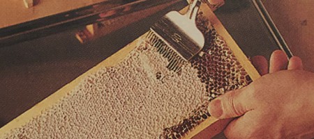 Produkte aus dem Bienenvolk